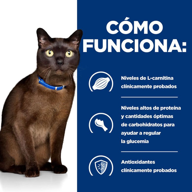 Hill's Prescription Diet Diabetes Care m/d Frango Saqueta em Molho para gatos - Pack, , large image number null